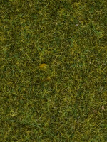 NOCH NOCH 7117 Wildgras "Wiese" 0,H0,TT
