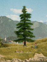 NOCH NOCH 21811 Nordmanntanne H0,TT,N