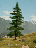 NOCH NOCH 21812 Nordmanntanne 0,H0,TT