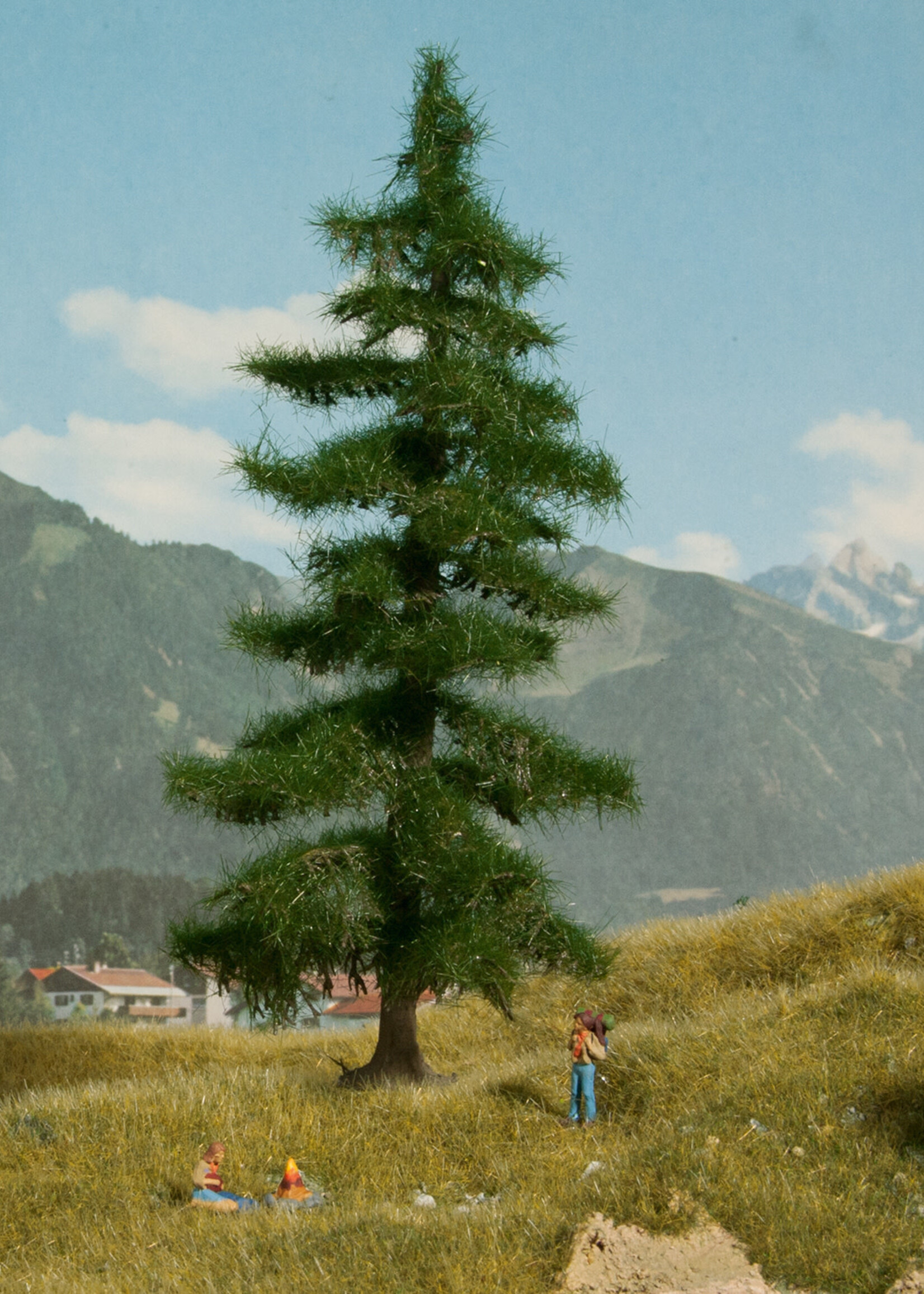 NOCH NOCH 21812 Nordmanntanne 0,H0,TT
