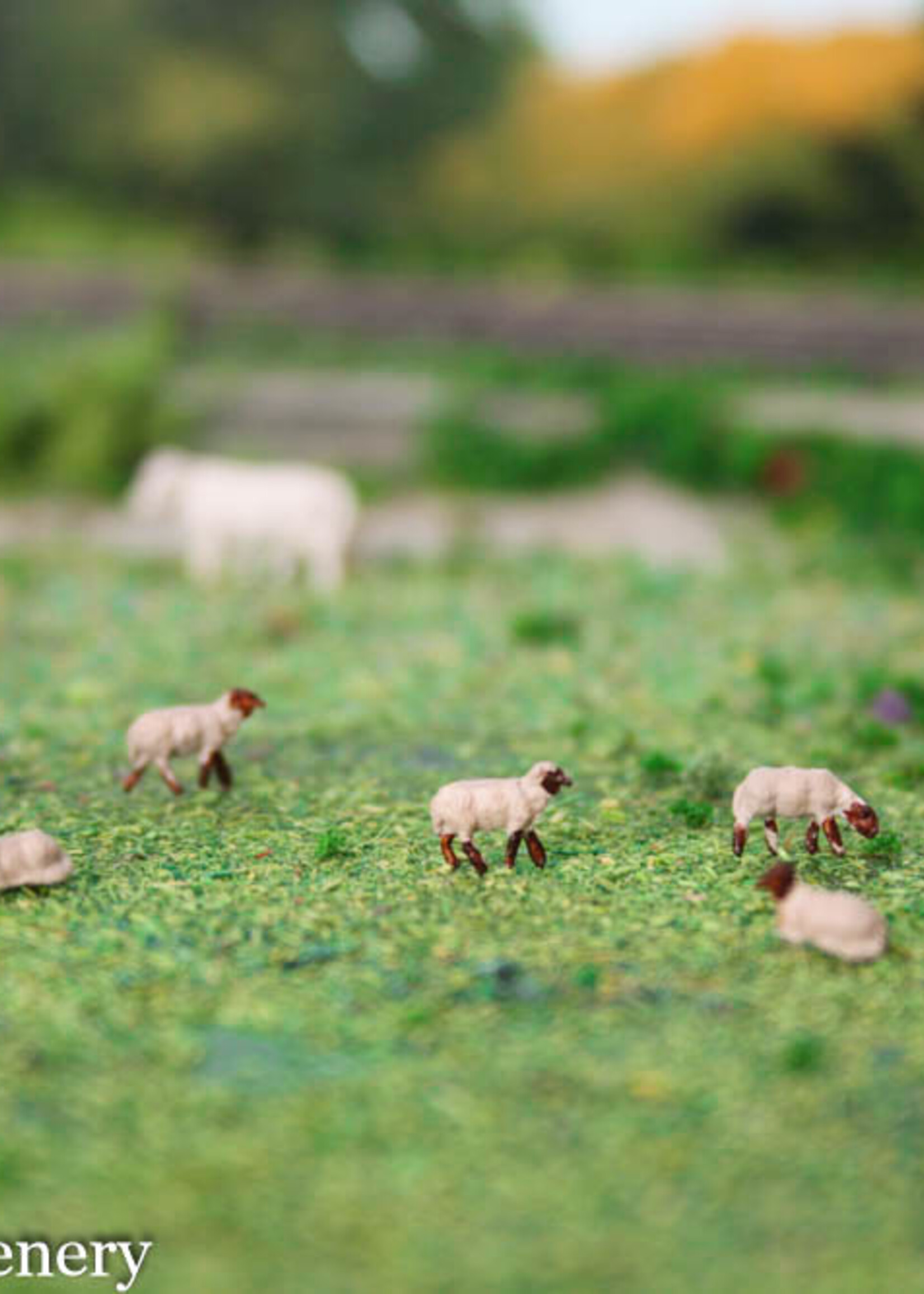 Van Petegem Scenery NS003 NL Drents heideschaap 10 stuks