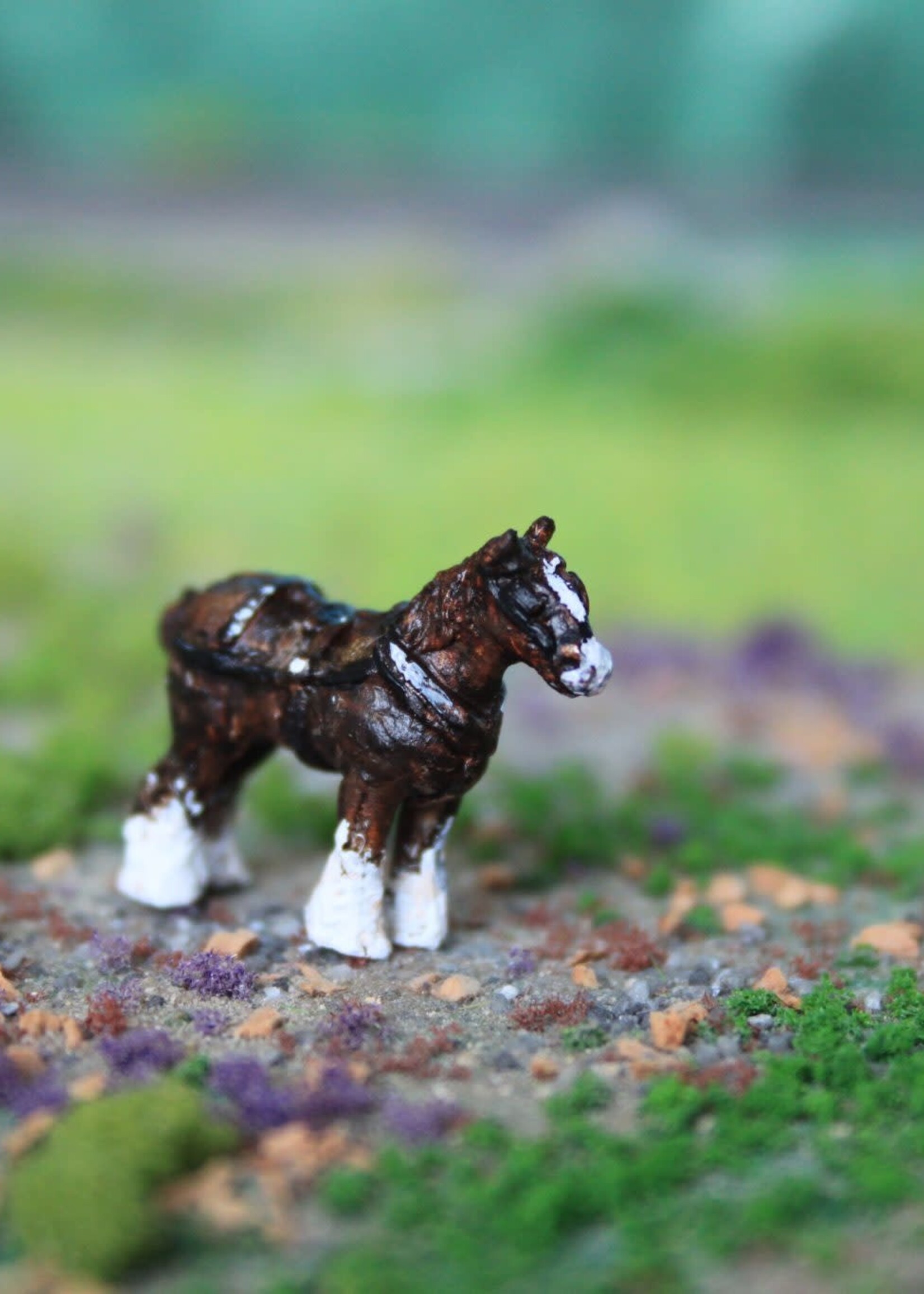 Van Petegem Scenery NP005 Shire ´Simson´