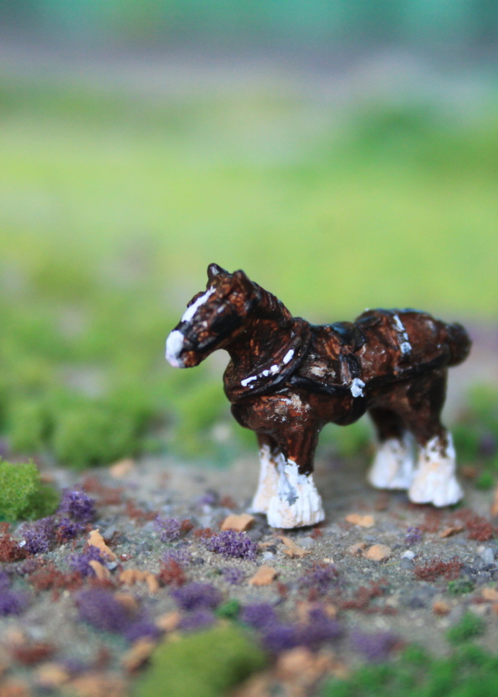 Van Petegem Scenery NP005 Shire ´Simson´