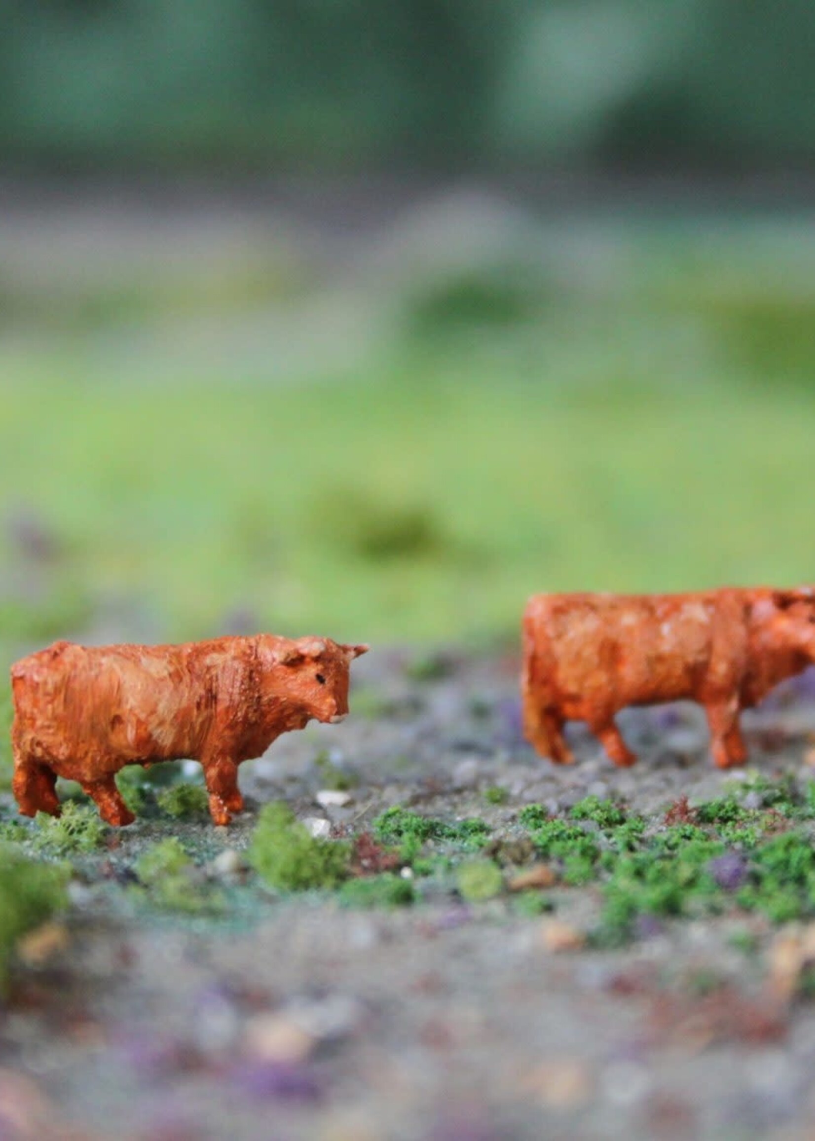 Van Petegem Scenery NVPS101 Schotse Hooglander 2 stuks