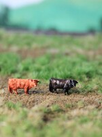 Van Petegem Scenery NVPS102 Schotse Hoolgander zwart en bruin: 2 stuks