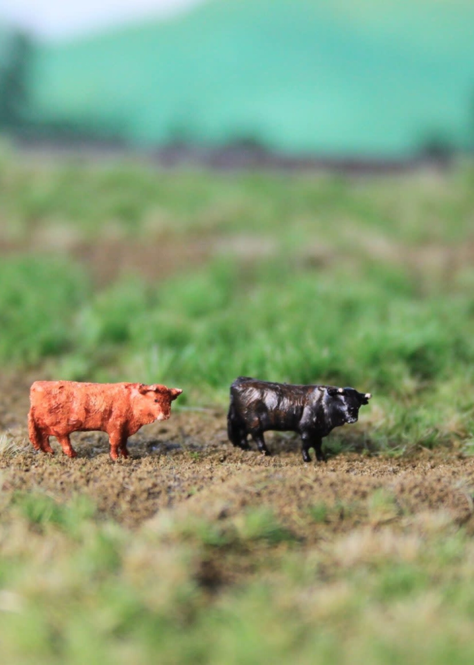 Van Petegem Scenery NVPS102 Schotse Hoolgander zwart en bruin: 2 stuks