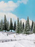 NOCH NOCH 24683 Schneetannen (H0,TT,N,Z)