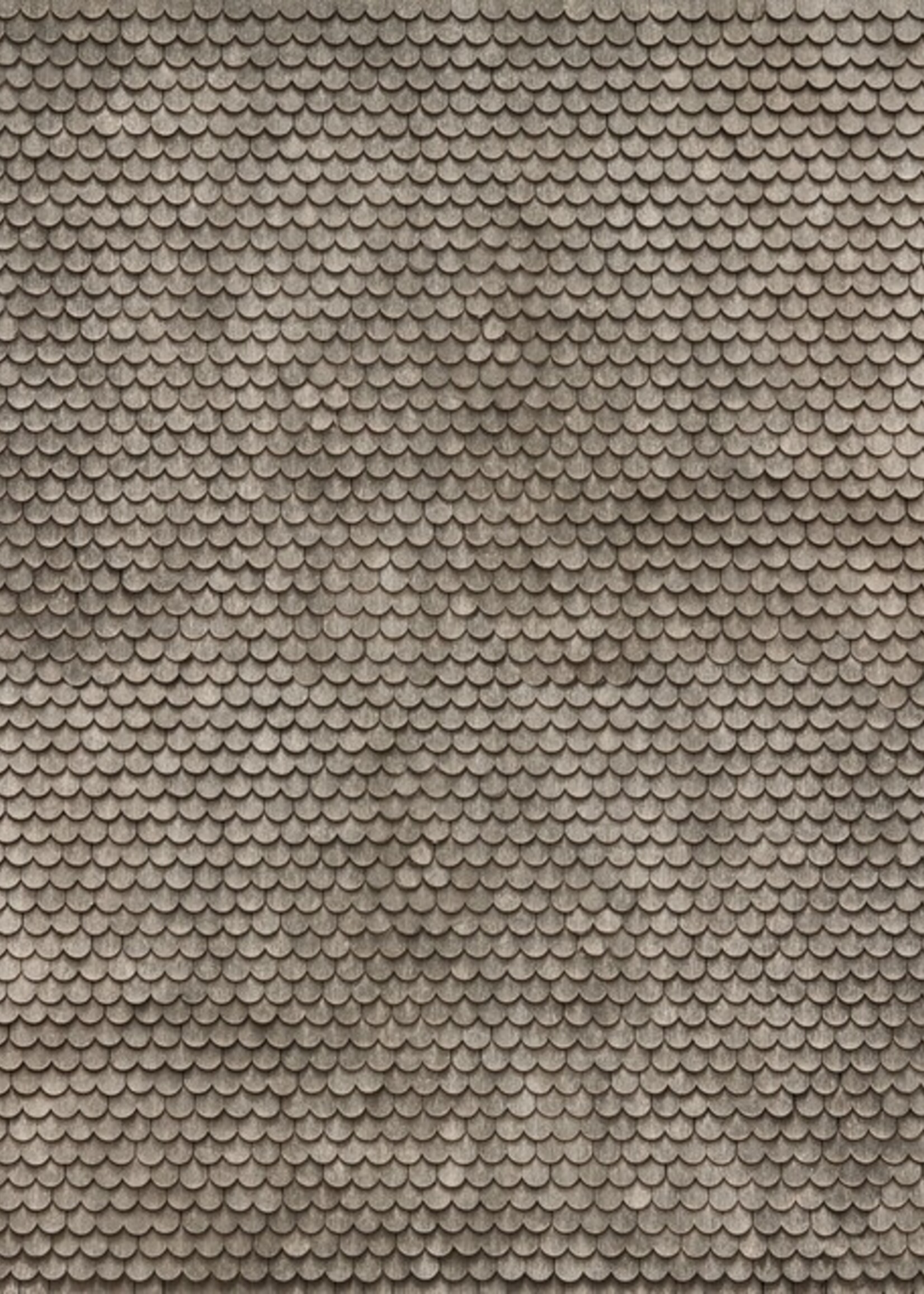 NOCH NOCH 56691 3D-Kartonplatte  “Biberschwanz” H0