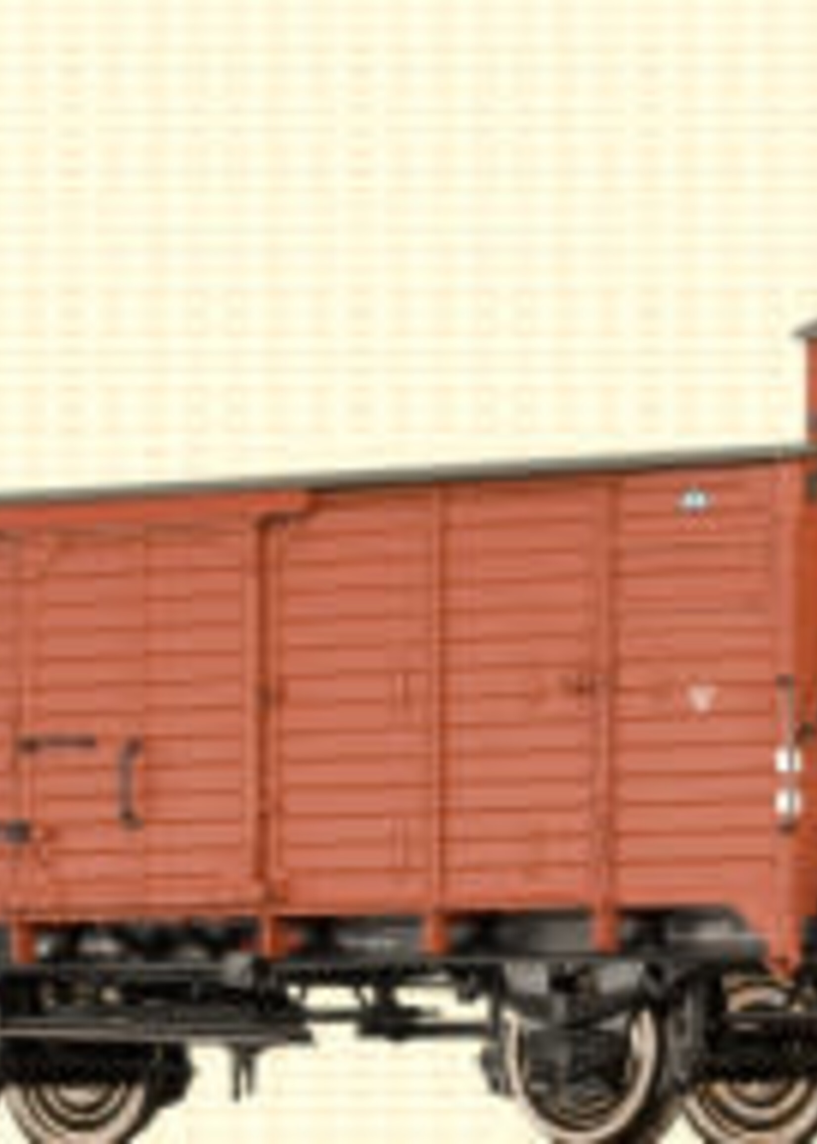 BRAWA BRAWA 67454 N Güterwagen G m.Hbr. DRG. II