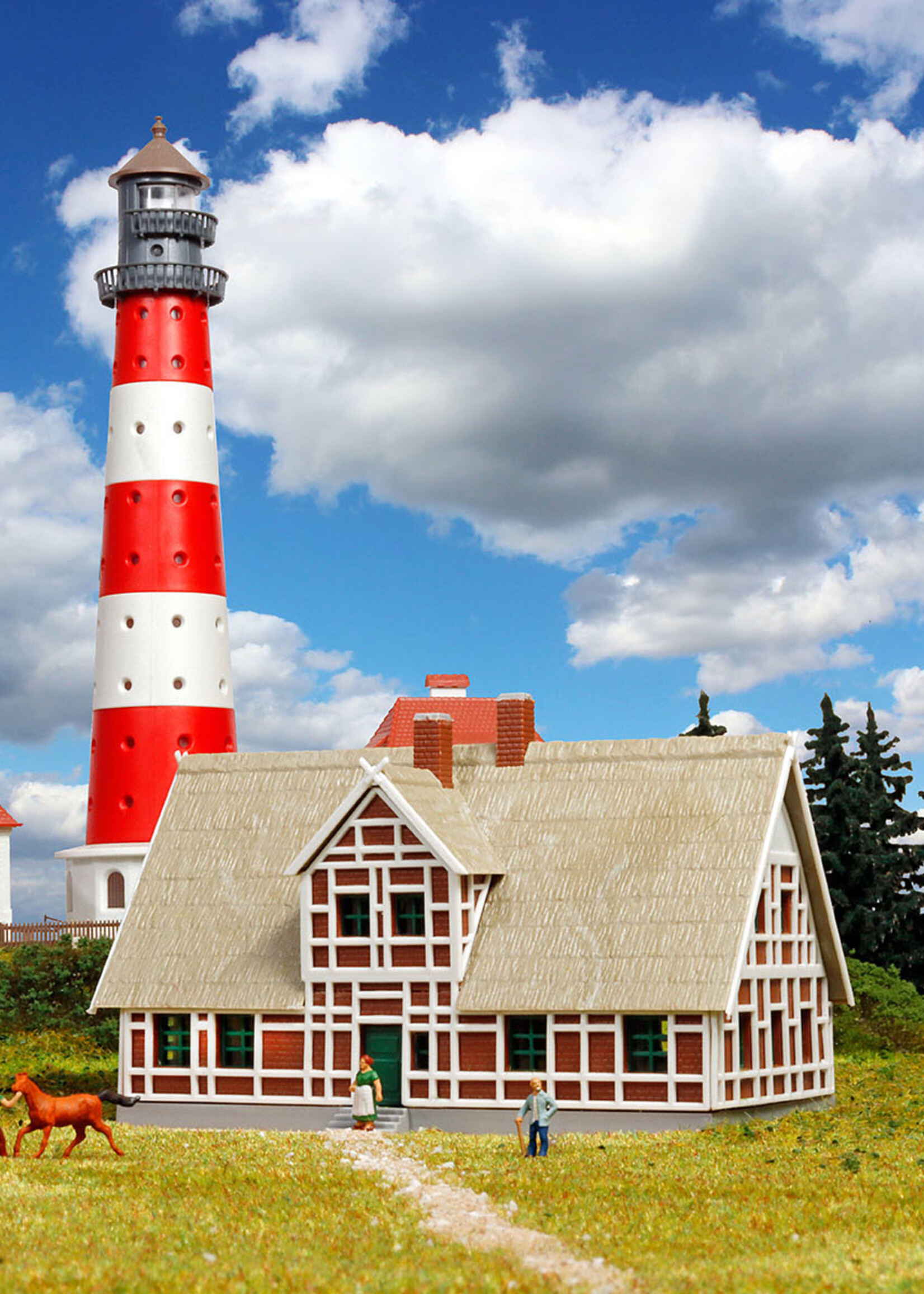 KIBRI 37318 N Reetdachhaus