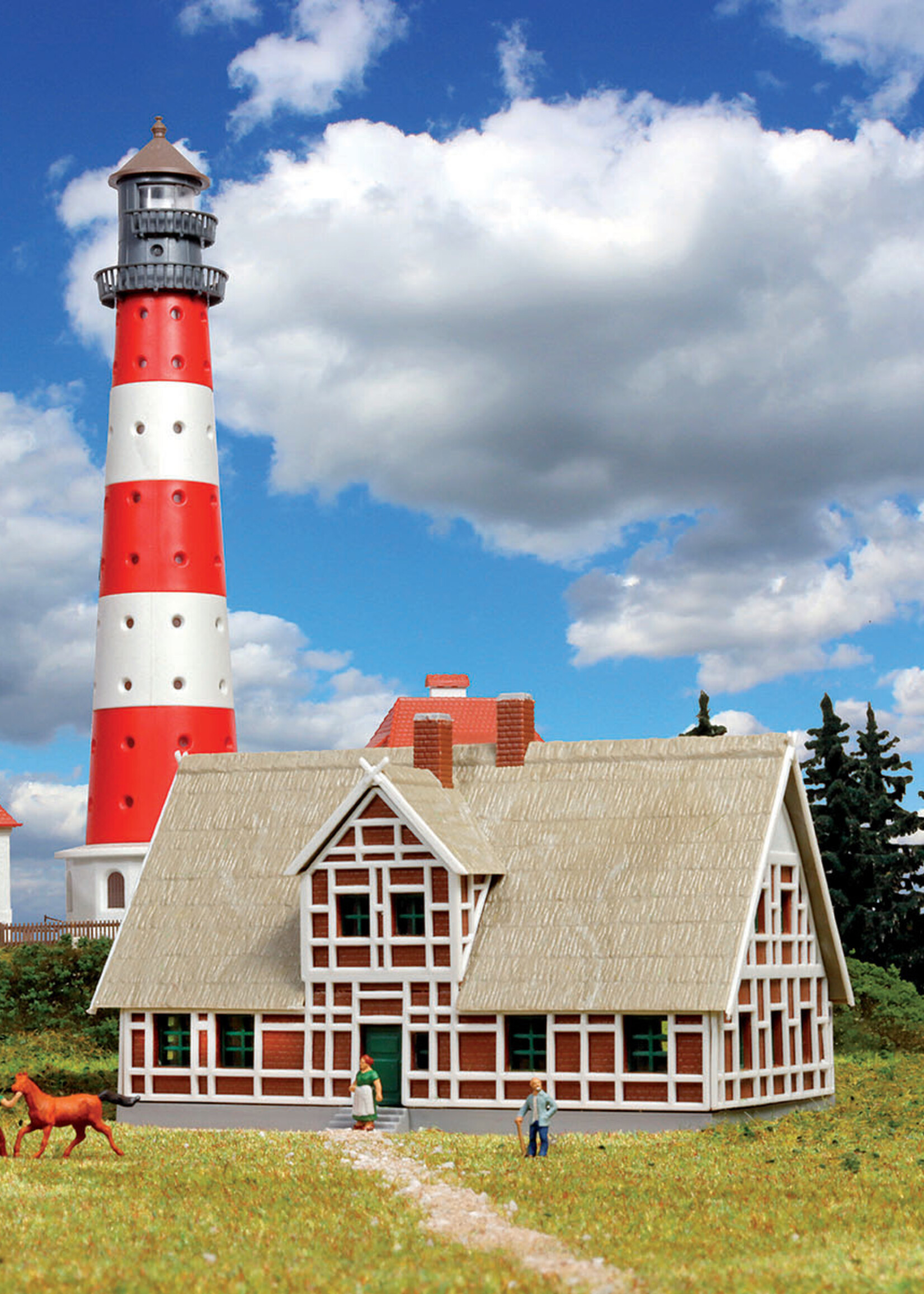 KIBRI 37318 N Reetdachhaus