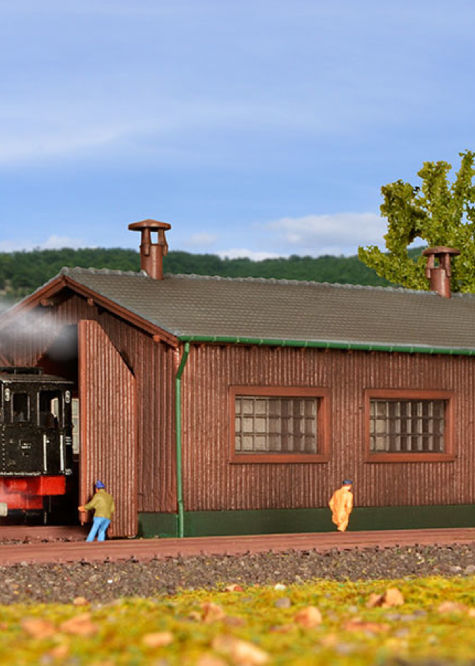 KIBRI 37802 N LOKSCHUPPEN EINSTANDIG