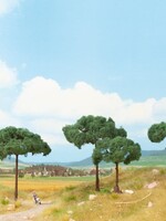 NOCH NOCH 21992 Dennenbomen 8,5 en 11,5 cm hoog (H0, TT, N)