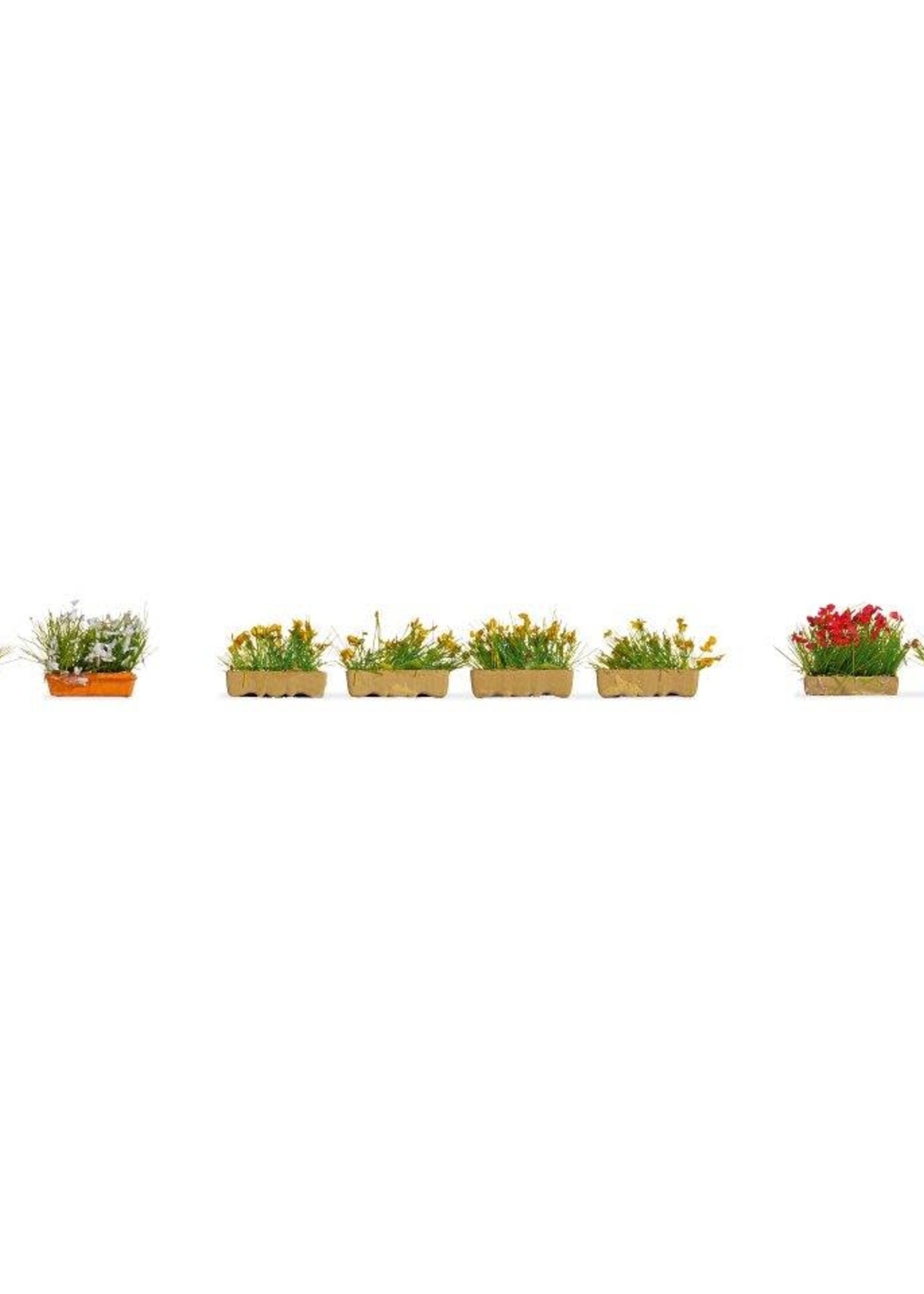 NOCH NOCH 14009 Blumenkästen blühend rot, weiß und gelb  (H0)