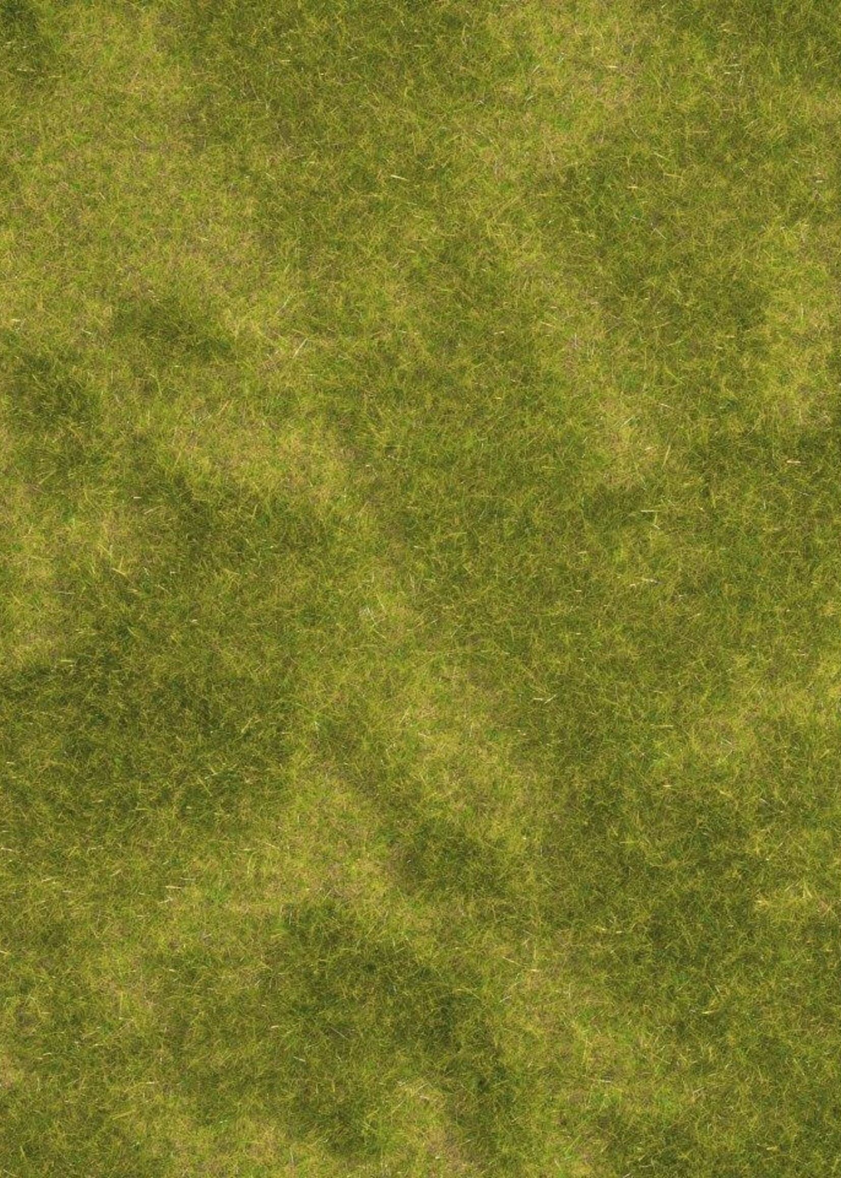 NOCH NOCH 07471 Natuur+ ''Rietweide 25 x 25 cm (G, 0, H0, TT, N, Z)