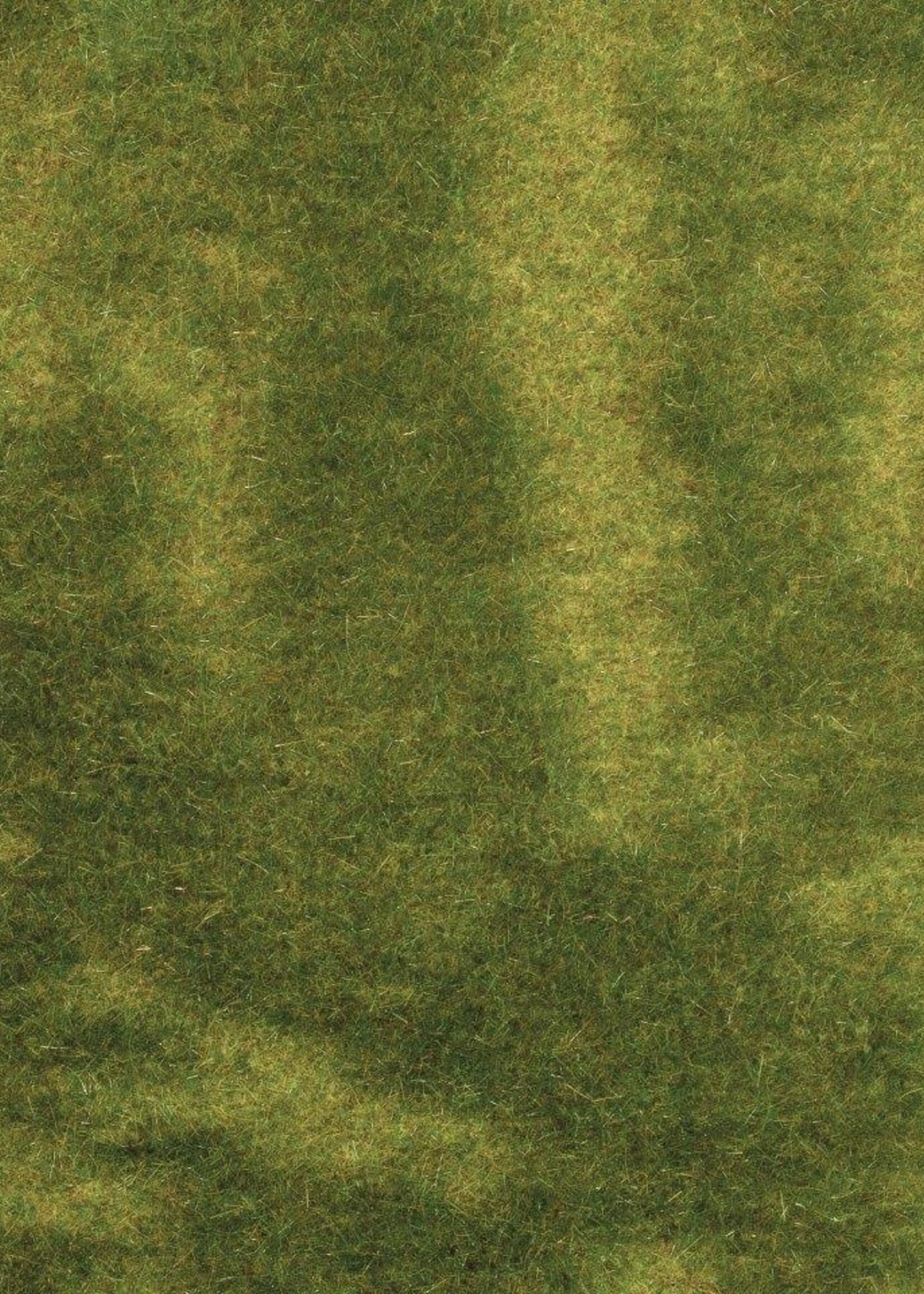 NOCH NOCH 07471 Natuur+ ''Rietweide 25 x 25 cm (G, 0, H0, TT, N, Z)