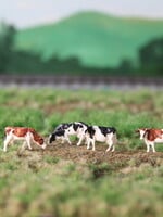 Van Petegem Scenery NVPS 202 Worldwide Holstein Zwartbont en Roodbont 5 stuks