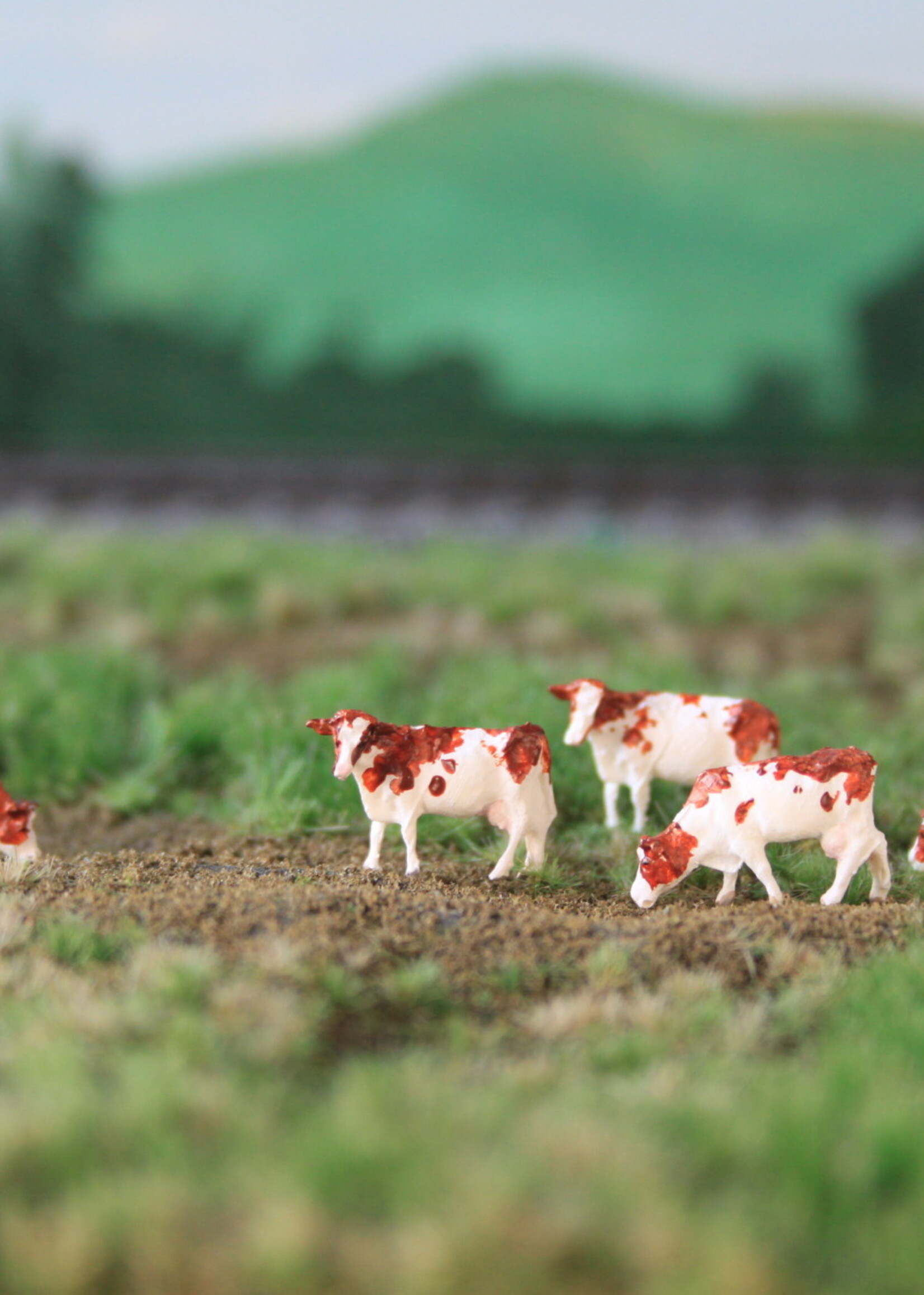 Van Petegem Scenery NVPS 205 NL MRIJ, Maas Rijn IJssel  3 stuks