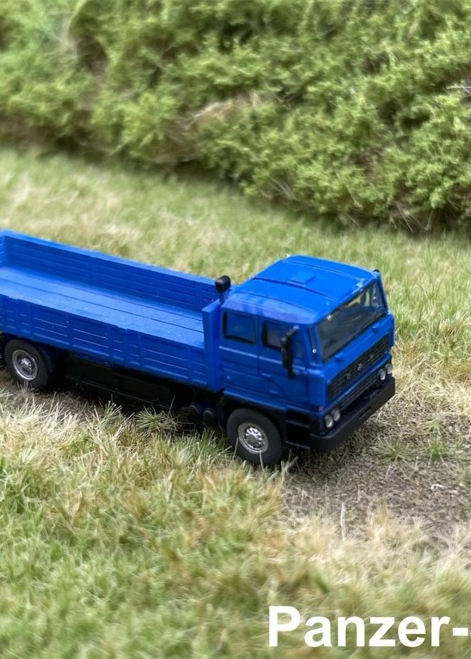 Panzer-Shop.nl DAF 2800 Cargo Open (Kant & Klaar)