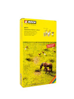 NOCH Noch 60771 Vegetations-Starter-Set "Wiese"