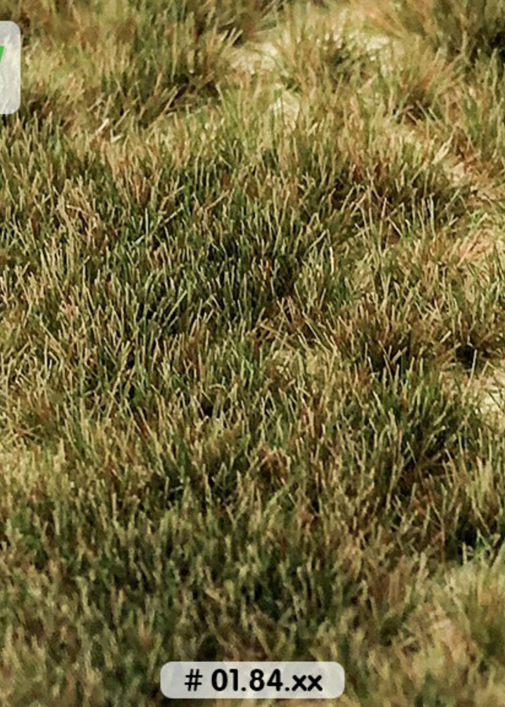 Lars op 't Hof Scenery 01.84 Graspollen vroege winter - lang 15 x 21 cm