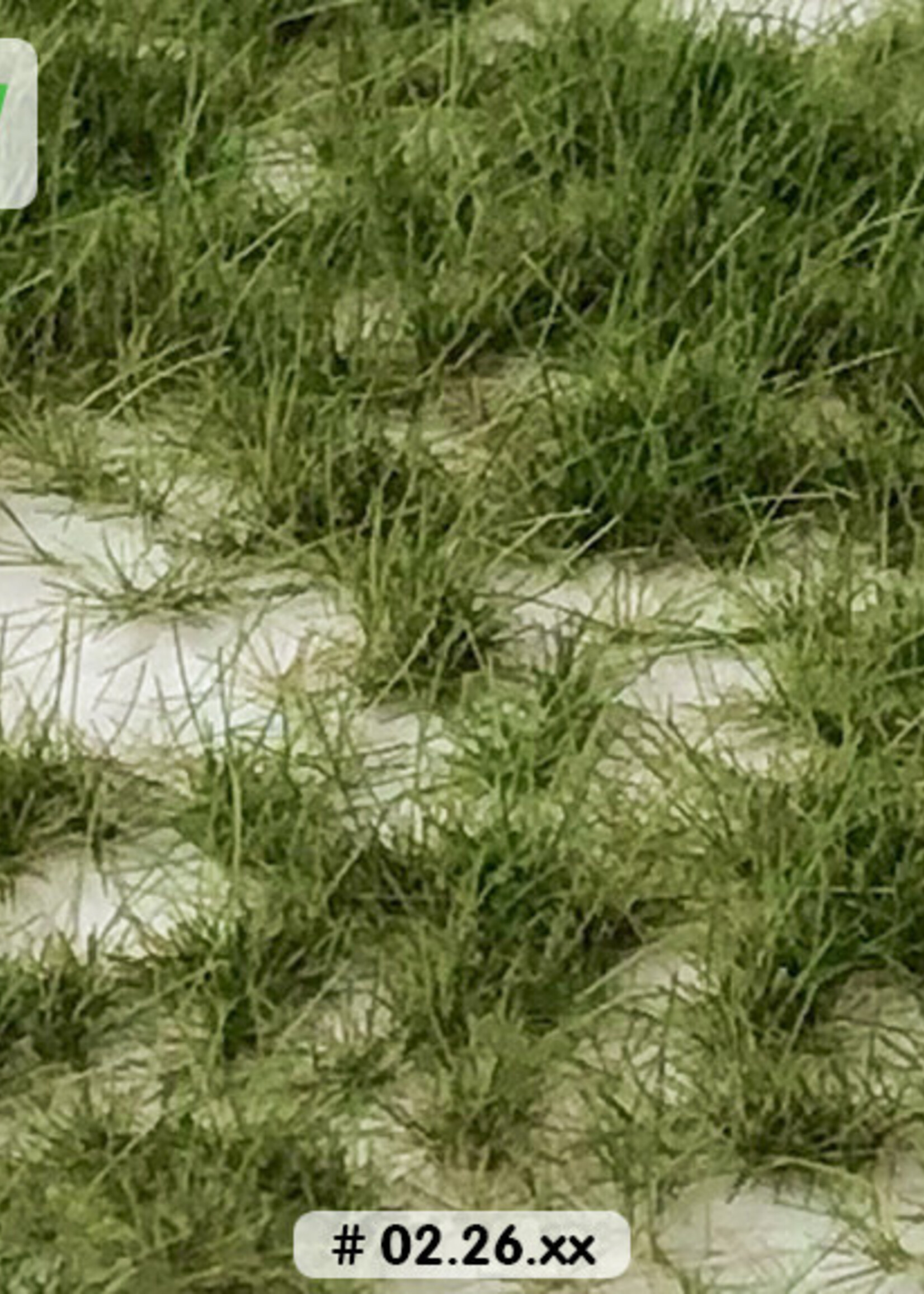 Lars op 't Hof Scenery 02.26 Graspollen tweekleurig - lente 15 x 21 cm