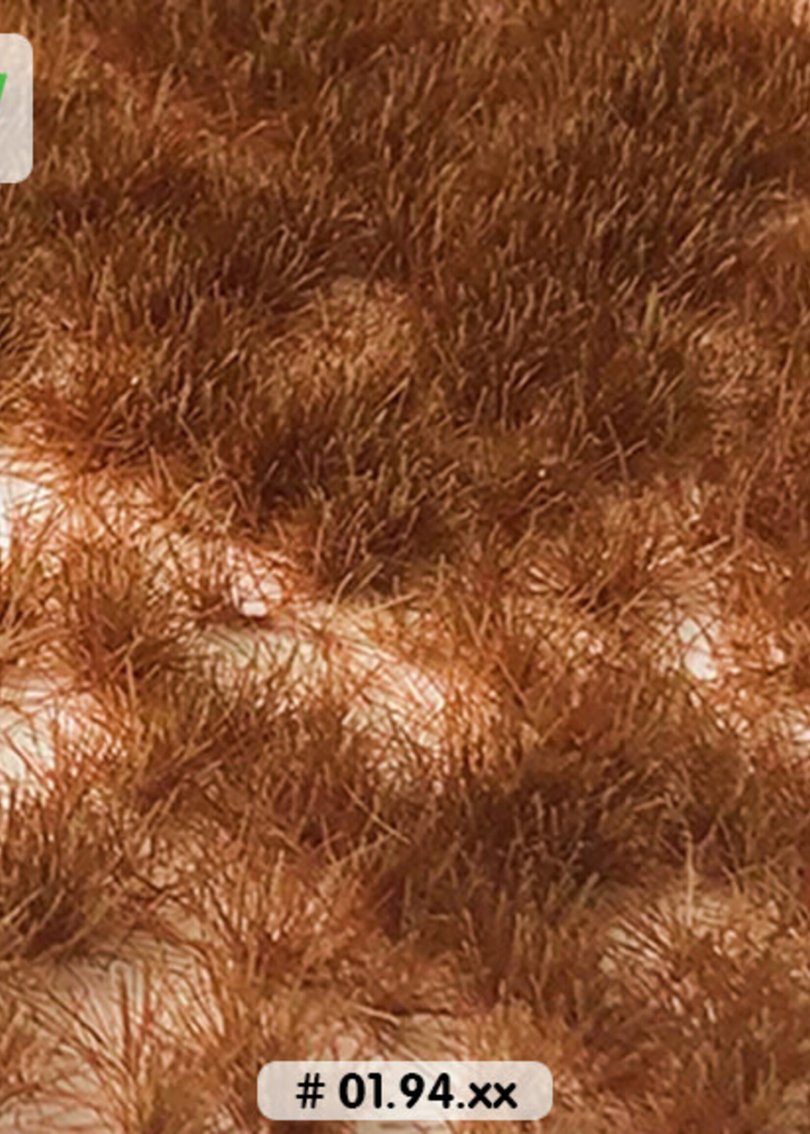 Lars op 't Hof Scenery 01.94 Graspollen late winter - lang 15 x 21 cm