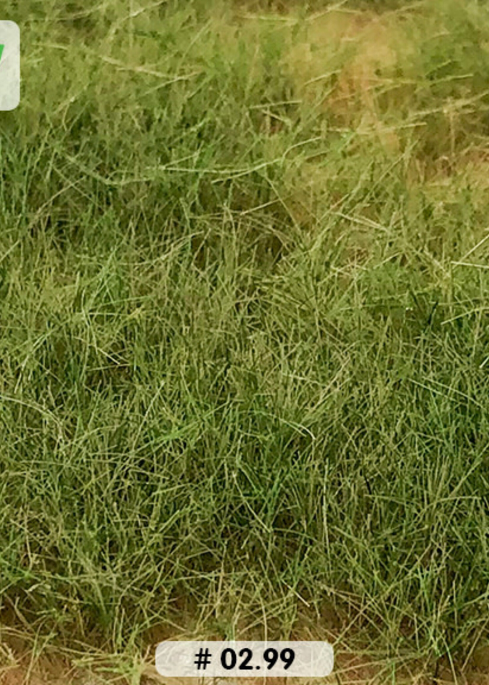 Lars op 't Hof Scenery 02.99 Helmgras 15 x 21 cm