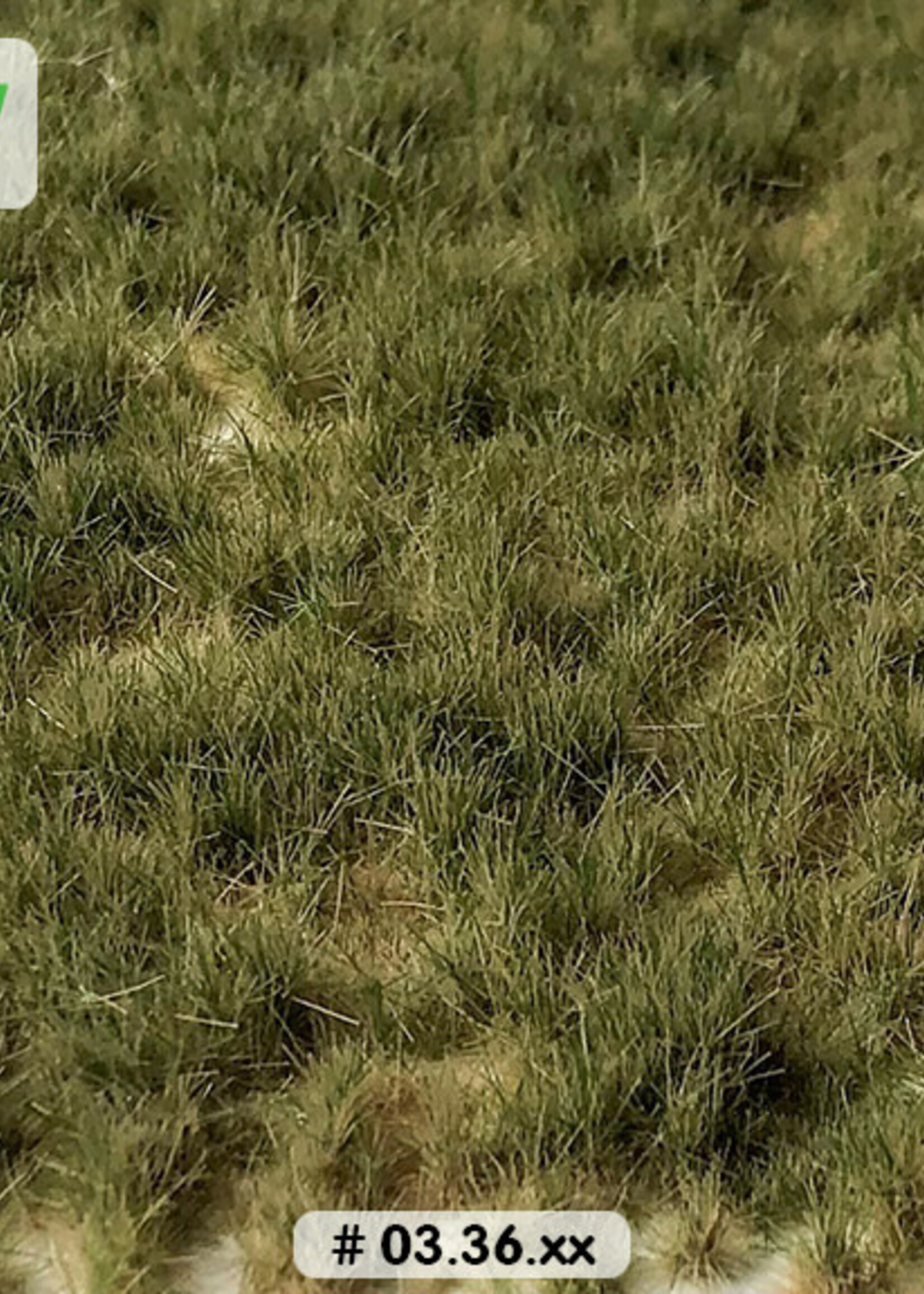 Lars op 't Hof Scenery 03.36 Graspollen weiland herfst - lang 15 x 21 cm