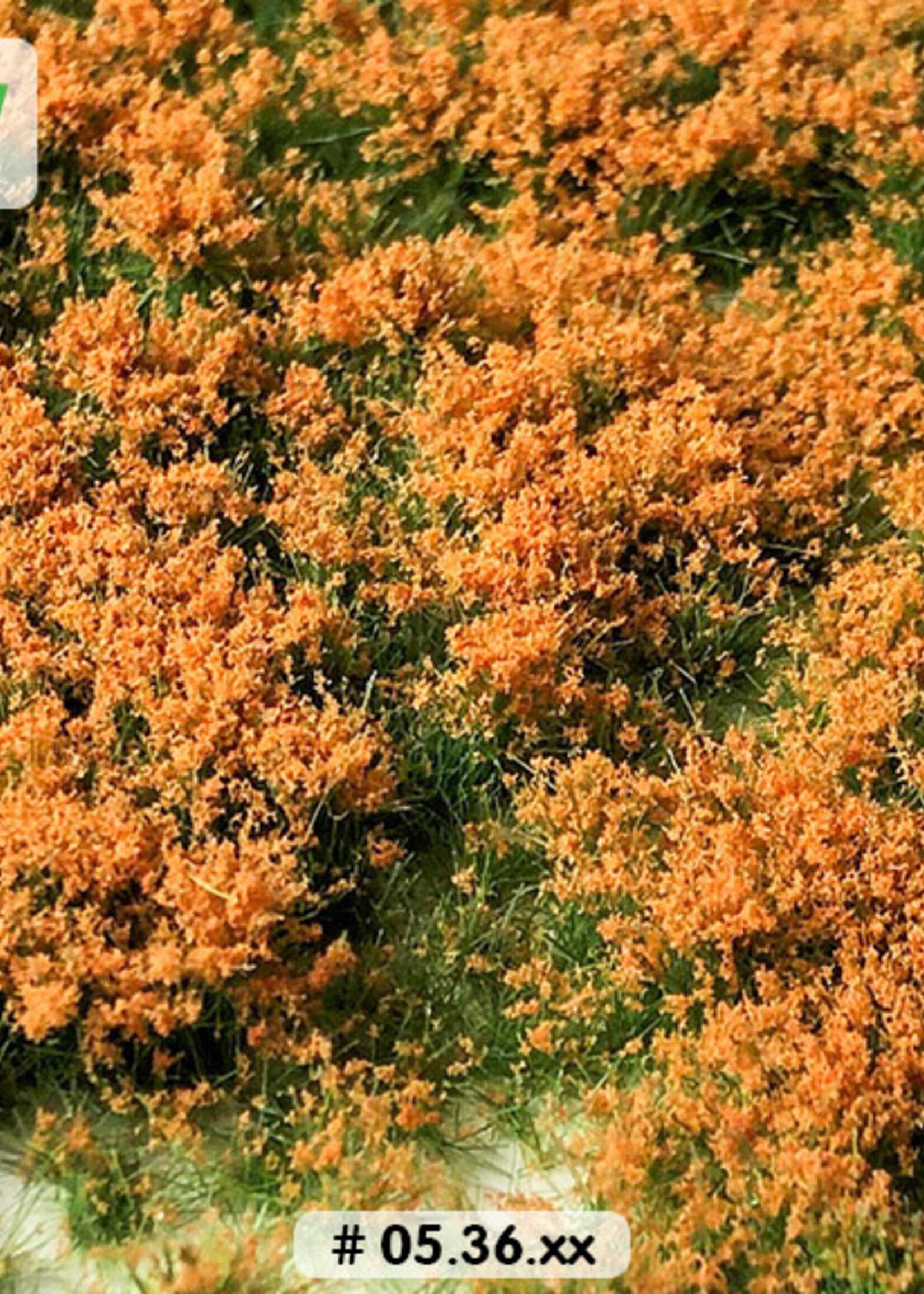 Lars op 't Hof Scenery 05.36 Bloemen oranje 15 x 21 cm