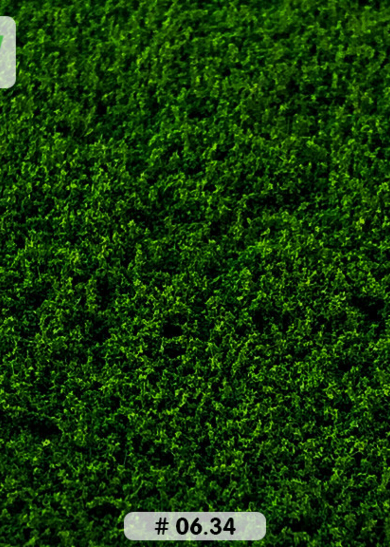 Lars op 't Hof Scenery 06.34 Onkruid donkergroen - laag 15 x 21 cm