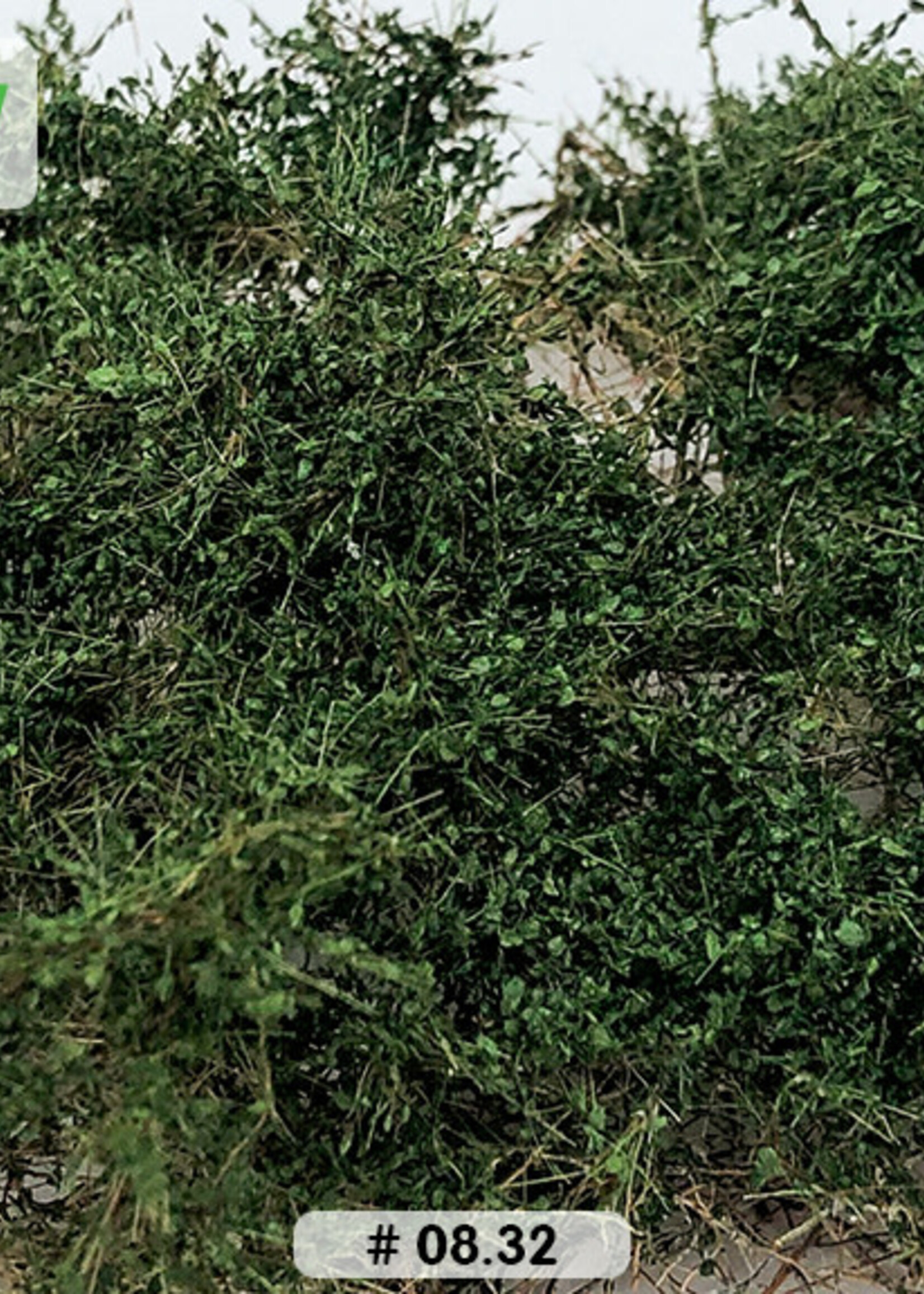 Lars op 't Hof Scenery 08.32 Doornstruiken - donkergroen 15 x 21 cm