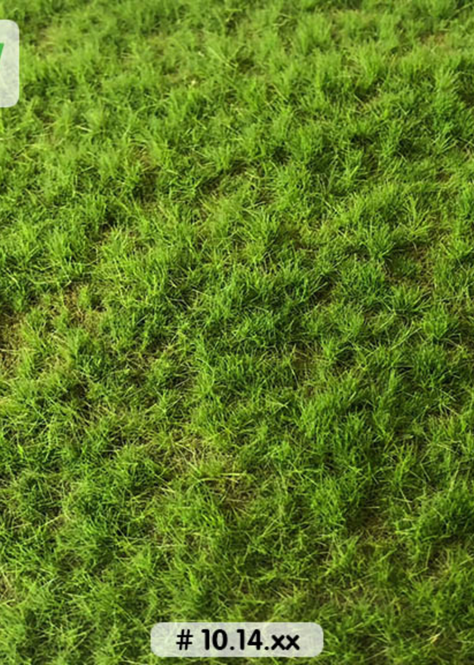 Lars op 't Hof Scenery 10.14 S Weiland lente - lang 18,5 x 26,5 cm