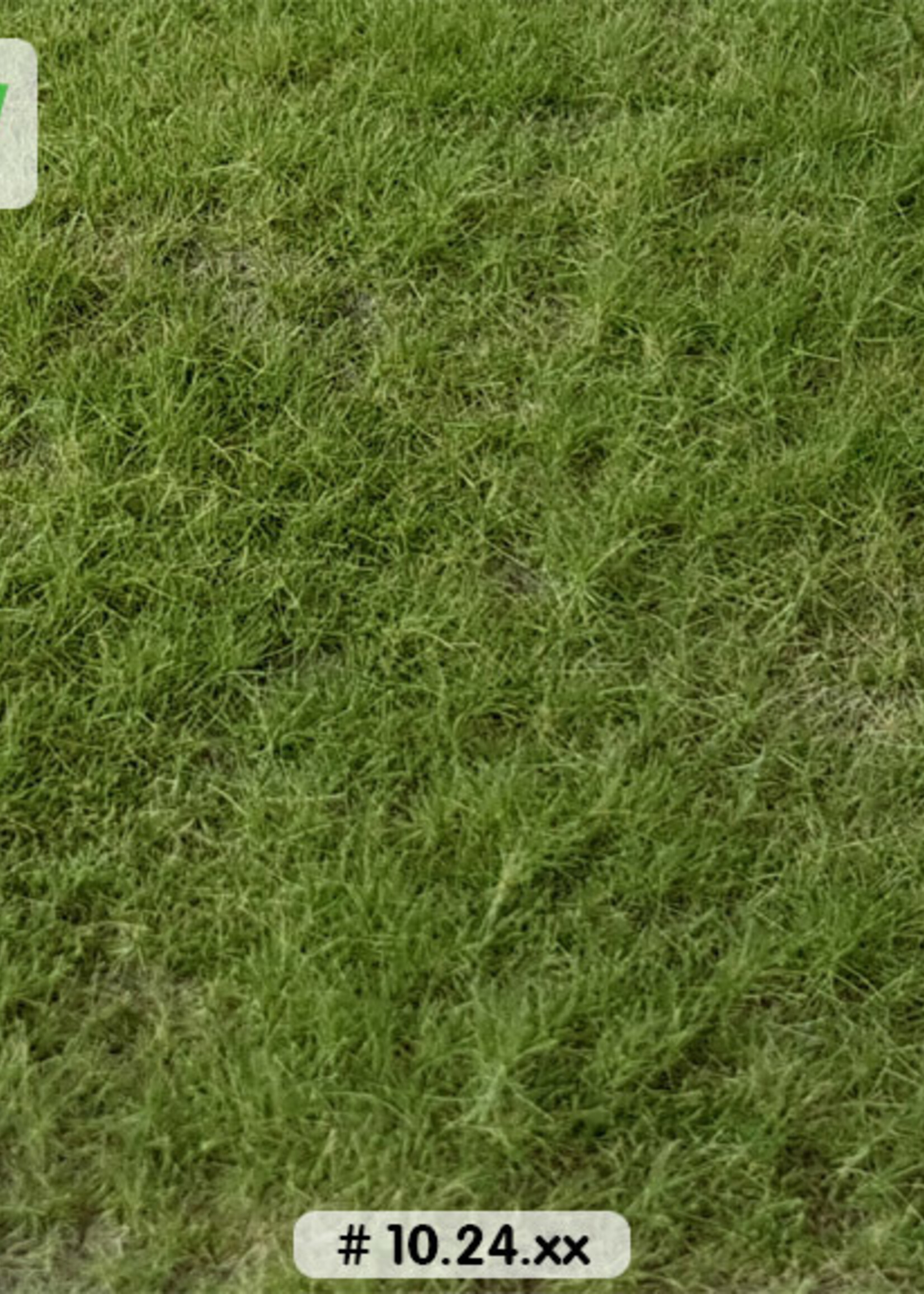 Lars op 't Hof Scenery 10.24 M Weiland zomer - lang 29 x 38 cm