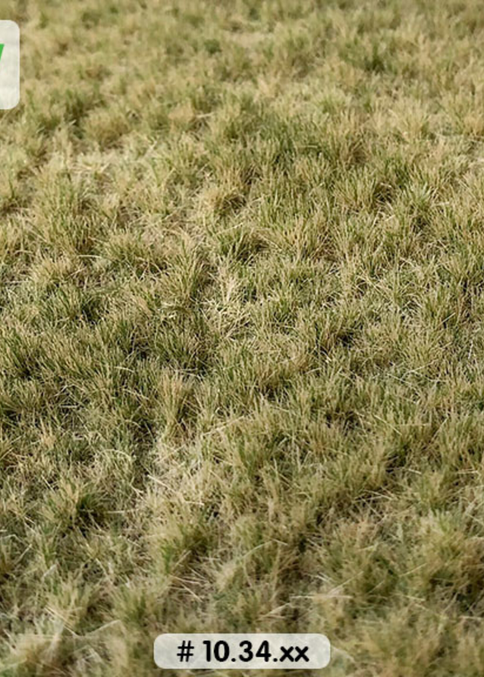 Lars op 't Hof Scenery 10.34 L Weiland herfst - lang 38 x 58 cm