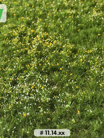 Lars op 't Hof Scenery 11.14 M Bloemenweide lente 29 x 38 cm