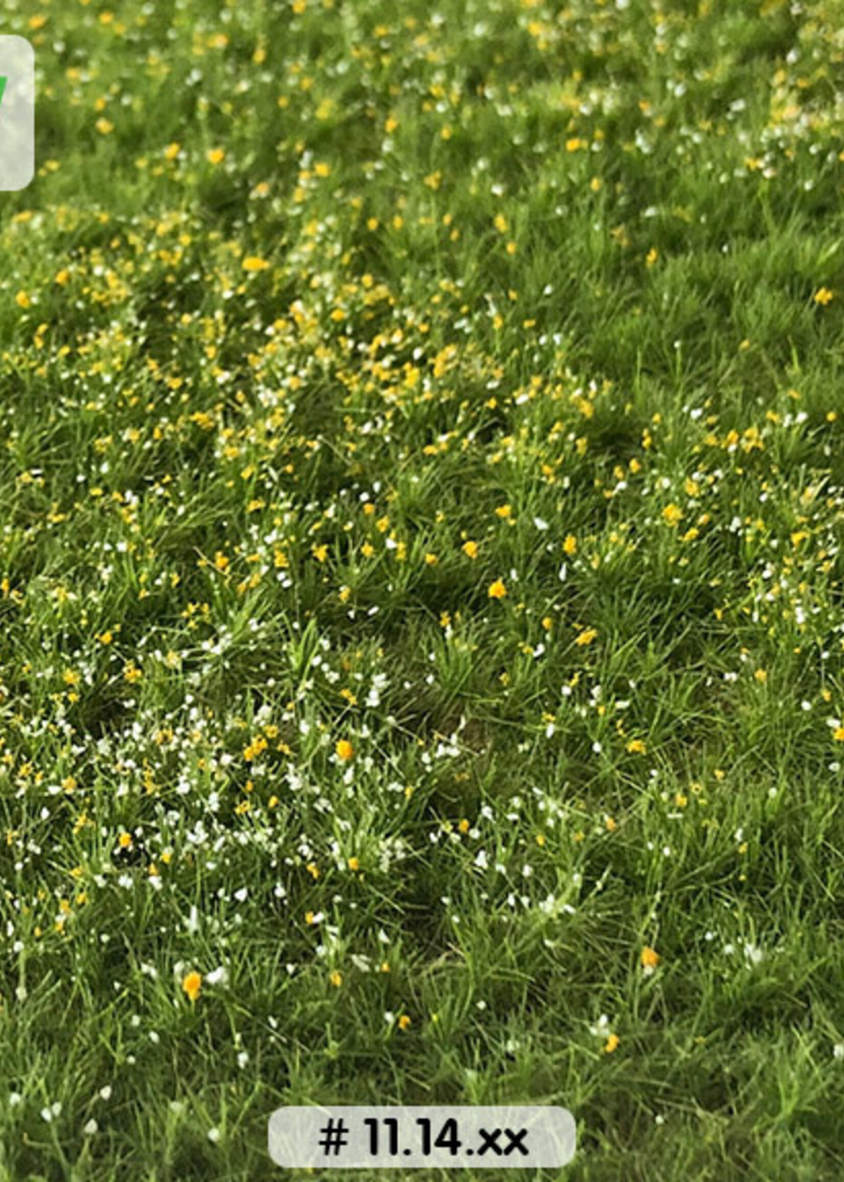 Lars op 't Hof Scenery 11.14 L Bloemenweide lente 38 x 58 cm