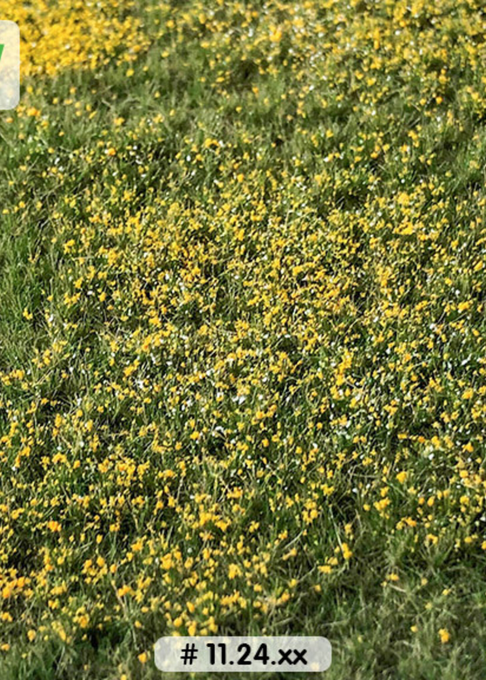 Lars op 't Hof Scenery 11.24 M Bloemenweide zomer 29 x 38 cm