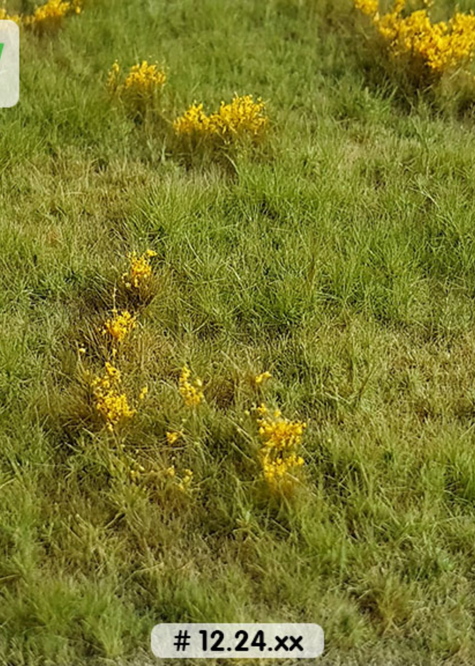 Lars op 't Hof Scenery 12.24 M Grasland met dotterbloemen 29 x 38 cm