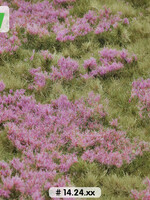 Lars op 't Hof Scenery 14.24 S Heidelandschap zomer 18,5 x 26,5 cm