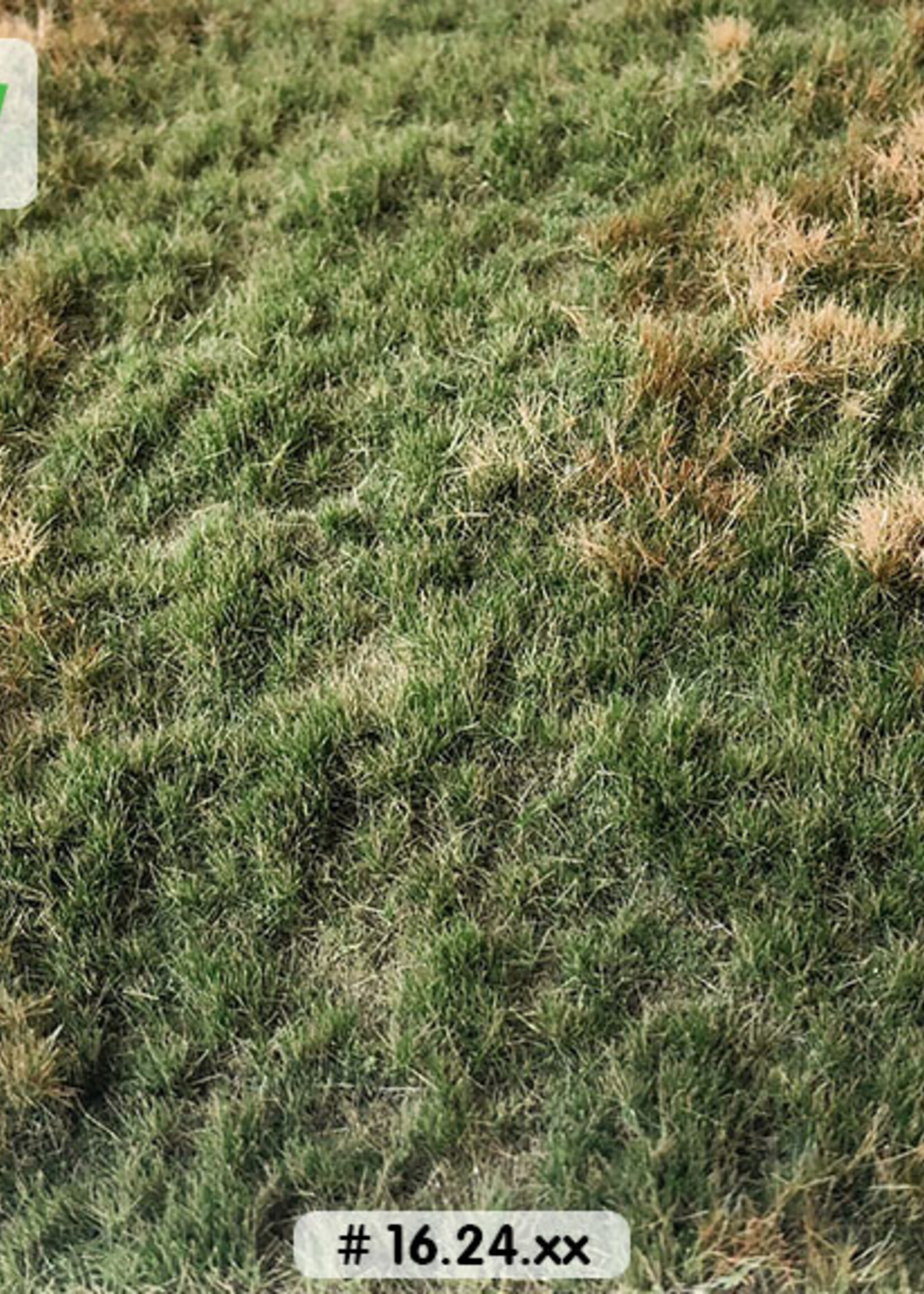 Lars op 't Hof Scenery 16.24 L Spoordijk zomer 38 x 58 cm