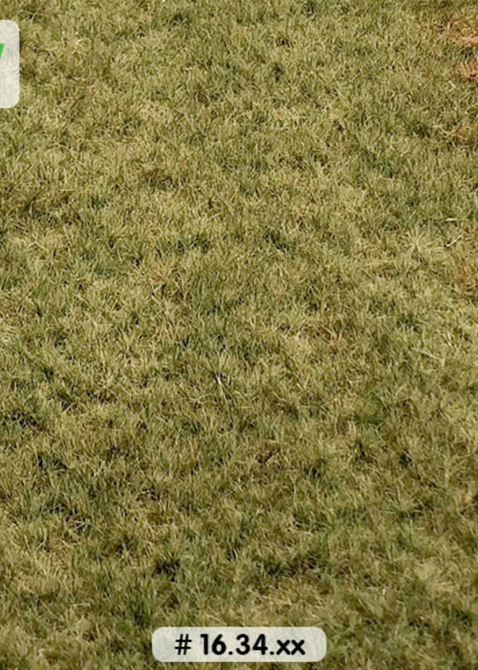 Lars op 't Hof Scenery 16.34 L Spoordijk herfst 38 x 58 cm