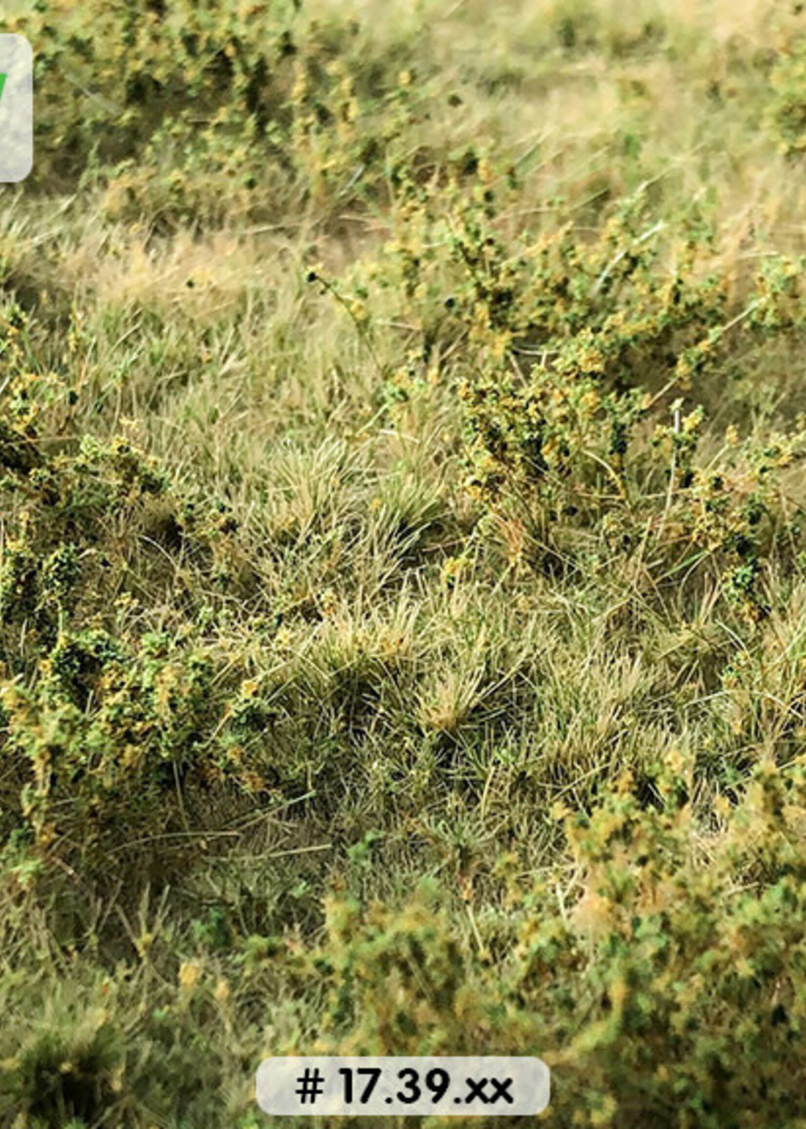 Lars op 't Hof Scenery 17.39 L Wilde berm herfst 38 x 58 cm
