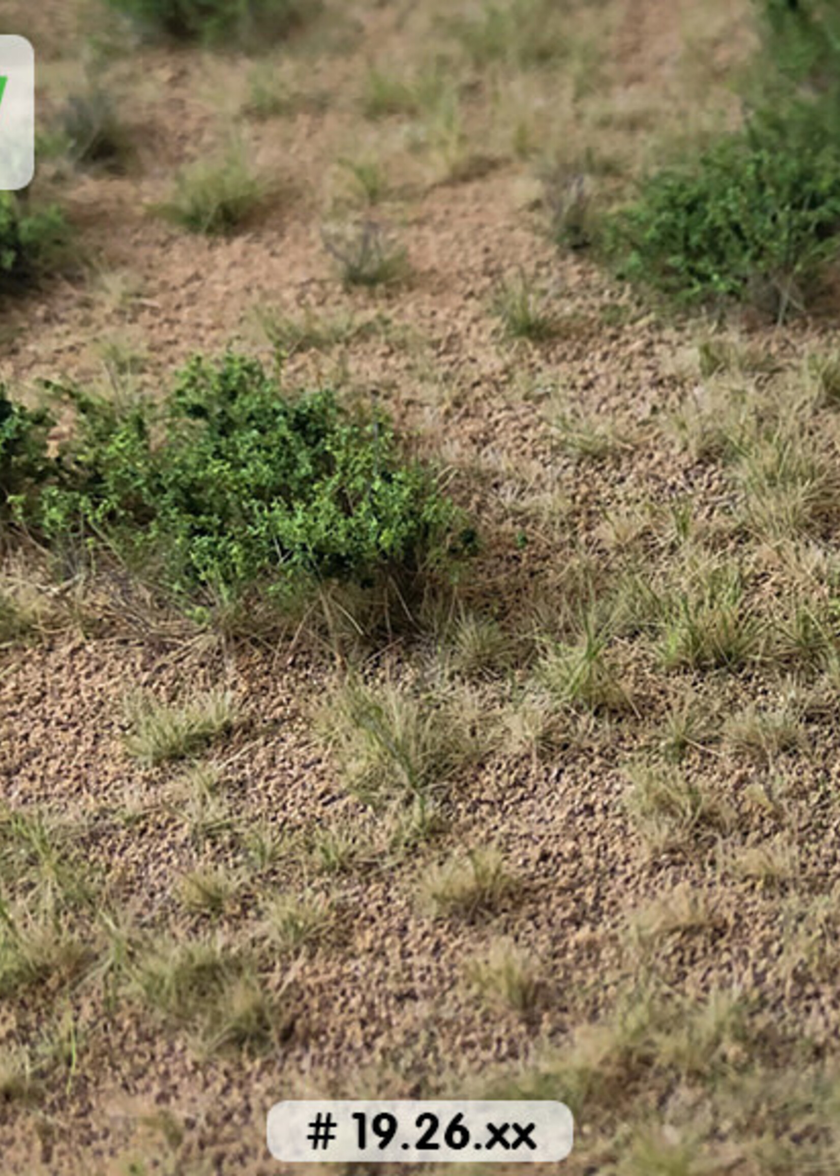 Lars op 't Hof Scenery 19.26 S Woestijn met struiken - type 1 18,5 x 26,5 cm