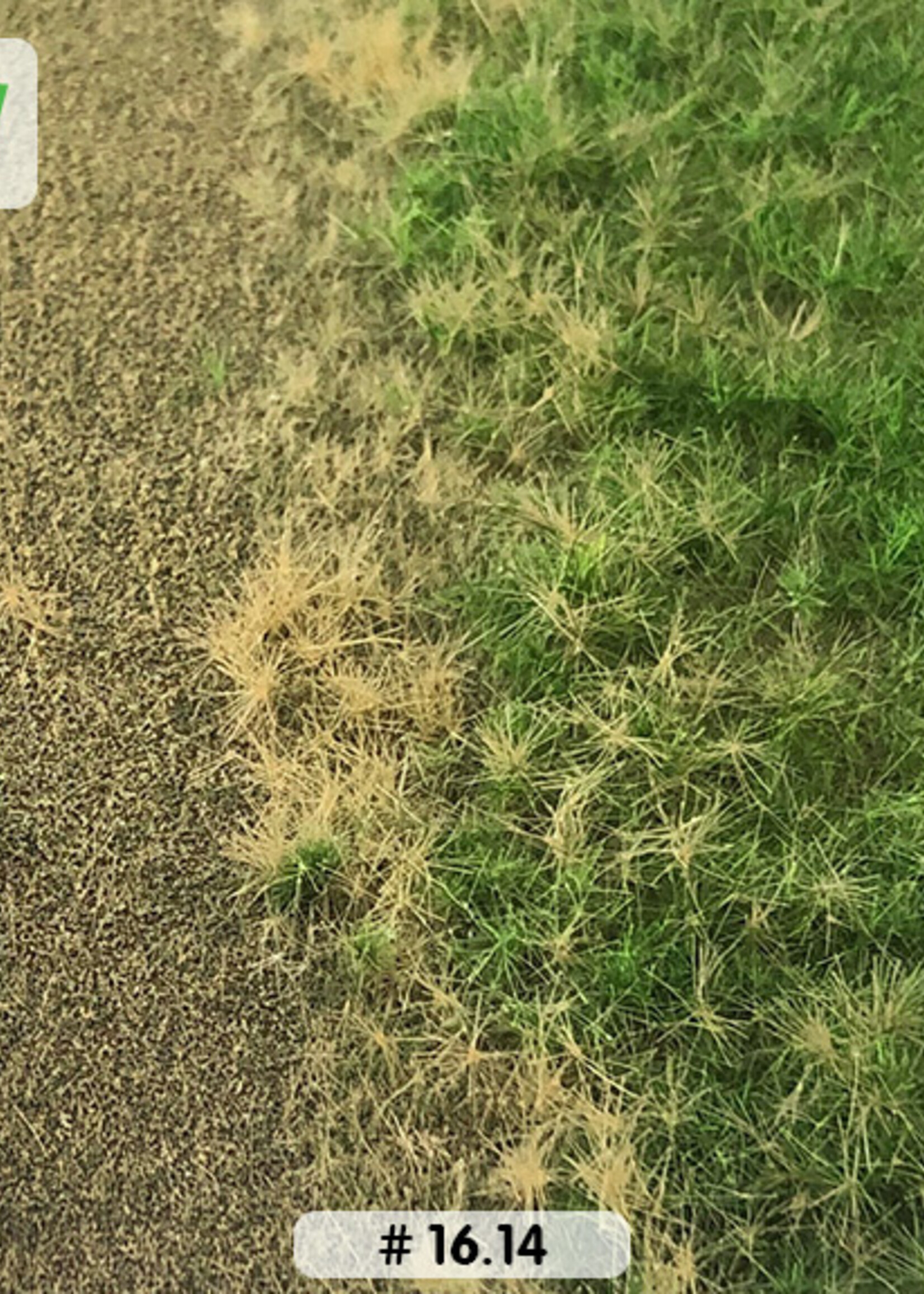 Lars op 't Hof Scenery 16.14 L Spoordijk lente 38 x 58 cm