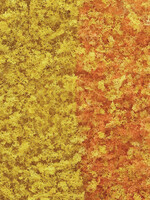 WOODLAND SCENICS WOODLAND SCENICS F55 FALL FOLIAGE EARLY FALL
