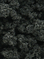 WOODLAND SCENICS WOODLAND SCENICS FC148 BUSHES CLUMP FOL.FO.GREEN