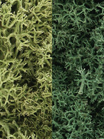 WOODLAND SCENICS WOODLAND SCENICS L167 LIGHT GREEN MIX LICHEN