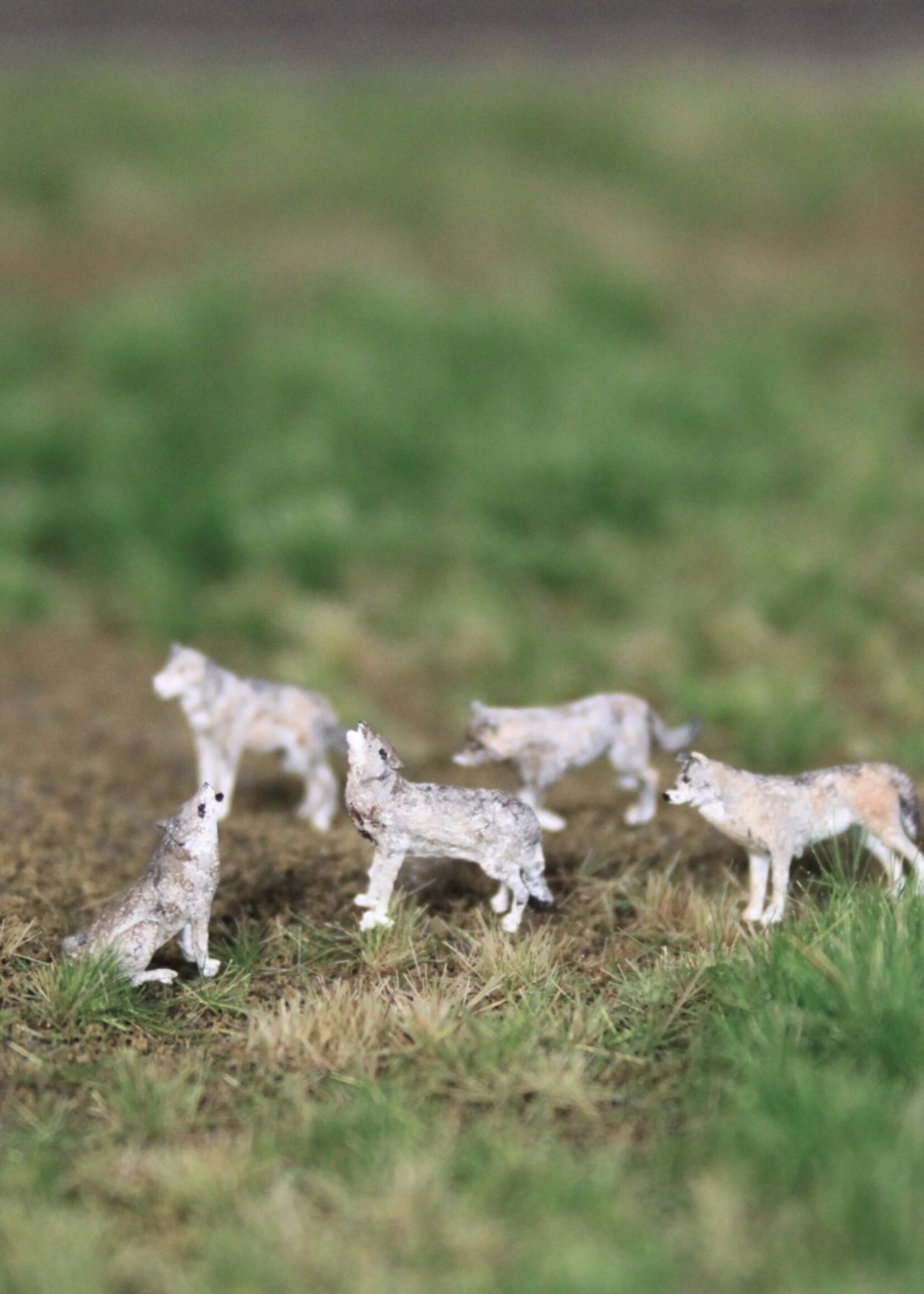 Van Petegem Scenery Van Petegem Scenery NM01 Wolven Roedel van 6 stuks (schaal N)