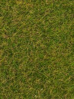 FALLER FALLER 170206 STROOIMATERIAAL WILDGRAS VROEGE ZOMER 4MM 30 G